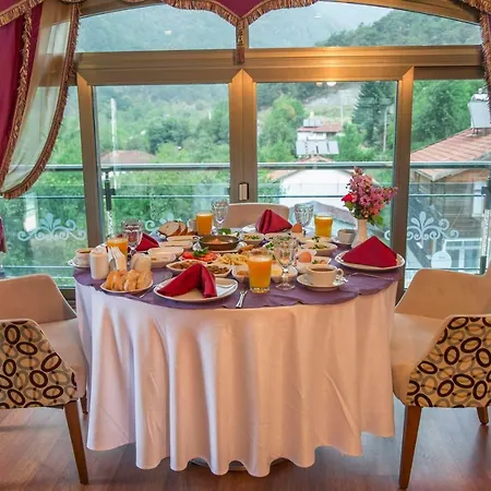 Sarot Termal Park & - Halal Otel 4*